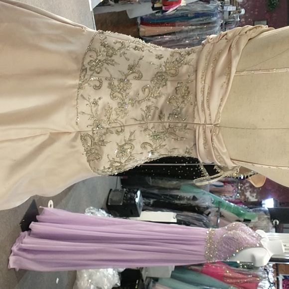 Posh Precious Formals Prom dress - Picture 4 of 6